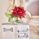 La Rosa * Città di Castello
