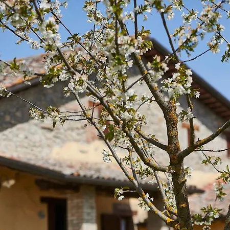 Apartament La Rosa