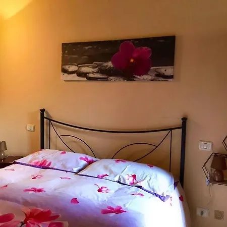 La Rosa *