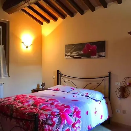 La Rosa Citta di Castello