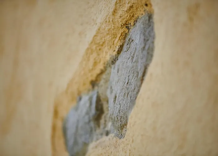 La Rosa Città di Castello