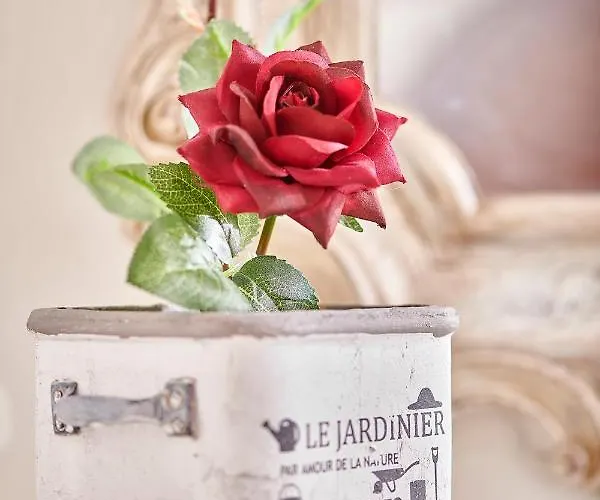 La Rosa * Città di Castello